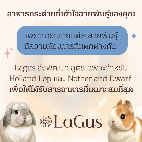 (1 KG) อาหารกระต่าย Lagus ลากัส สูตรเฉพาะสำหรับสายพันธุ์ Holland Lop & Netherland Dwarf - Image 7
