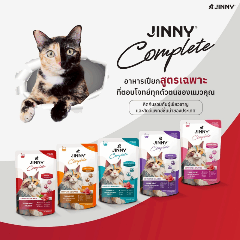 [ยกโหล 12 ซอง] Jinny Complete อาหารเปียกแมว จินนี่ คอมพลีท สูตรเกรนฟรี ไม่เติมเกลือและน้ำตาล - Image 10