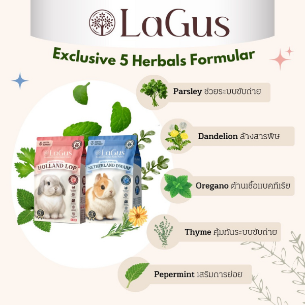 (1 KG) อาหารกระต่าย Lagus ลากัส สูตรเฉพาะสำหรับสายพันธุ์ Holland Lop & Netherland Dwarf - Image 6