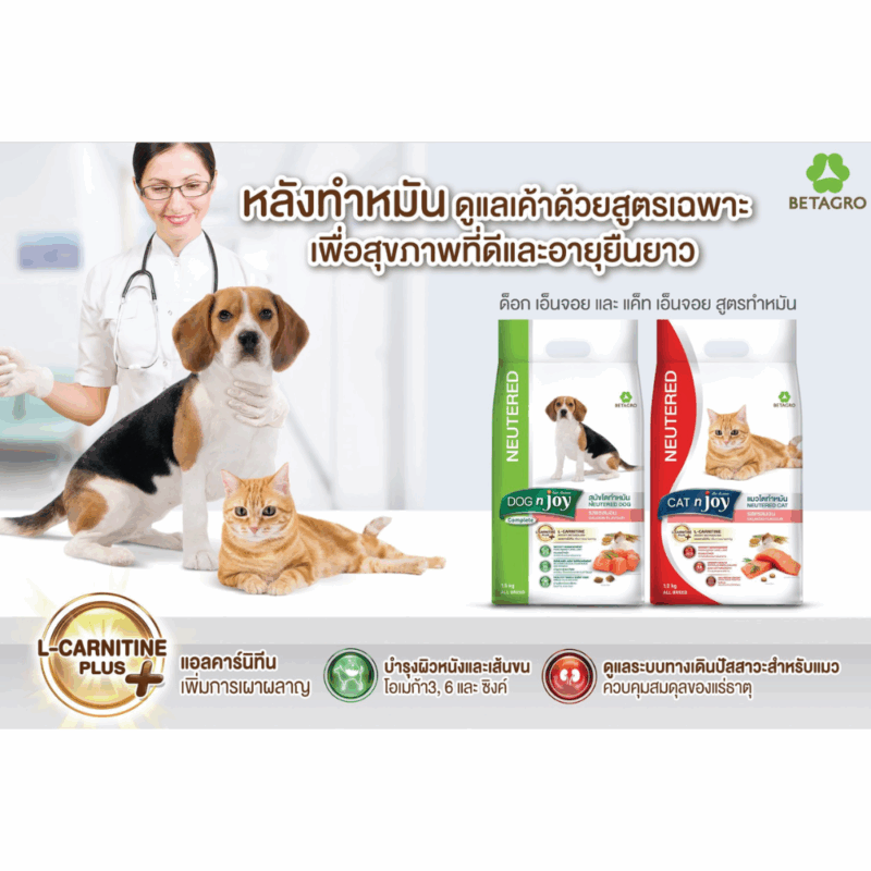( 1.2 kg ) อาหารแมว CAT n joy แค็ทเอ็นจอย สูตรแมวโตทำหมัน อาหารเม็ดแมว - Image 3