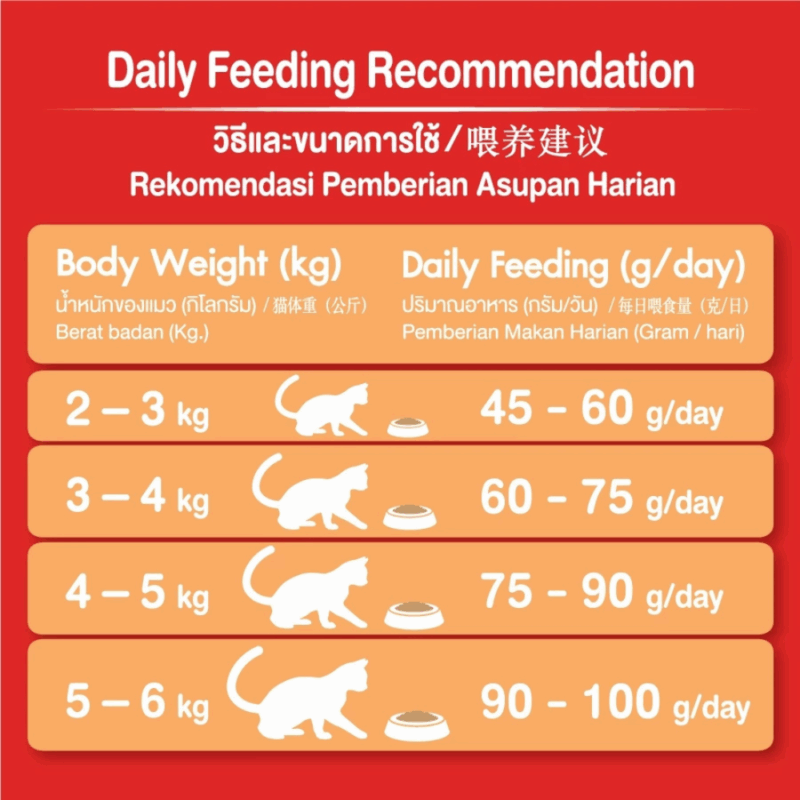 [ 20 kg ] อาหารแมว Cat n Joy Tripple Protection แคทเอ็นจอย อาหารเม็ดแมวยกกระสอบ มี Lysine/Prebiotic/Zinc&Omega - Image 2