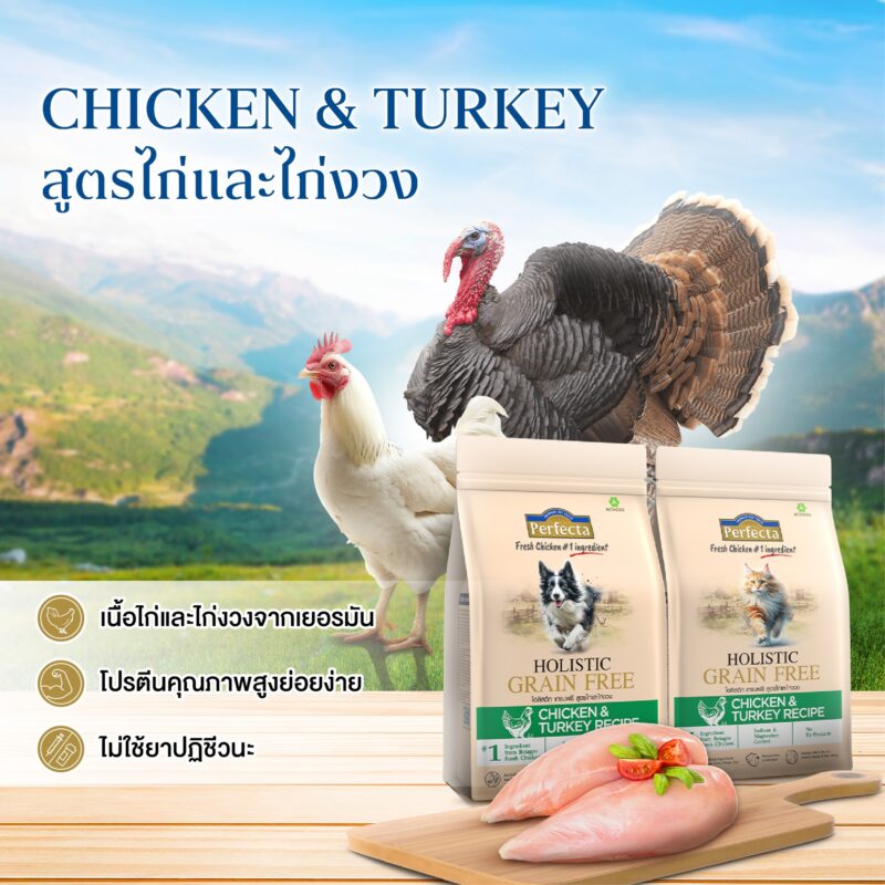 CatHoliday [ 0.8-1kg ] Perfecta Holistic Grain Free อาหารสุนัขและแมว ส่วนผสมจากธรรมชาติ โภชนาการครบถ้วน - Image 10