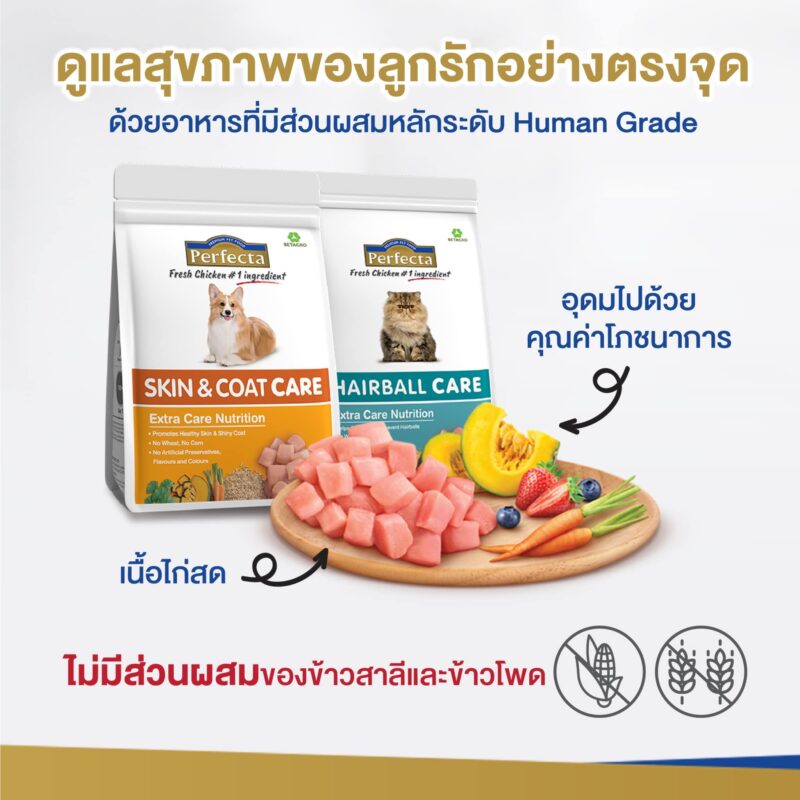 CatHoliday [ 1.2 kg ] Perfecta Care เพอร์เฟคต้าแคร์ อาหารแมว สูตรดูแลพิเศษ อาหารเม็ดแมว - Image 4