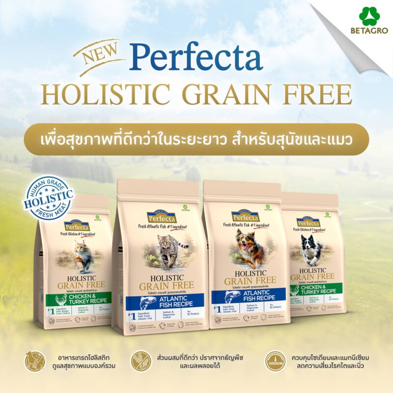 CatHoliday [ 0.8-1kg ] Perfecta Holistic Grain Free อาหารสุนัขและแมว ส่วนผสมจากธรรมชาติ โภชนาการครบถ้วน - Image 7