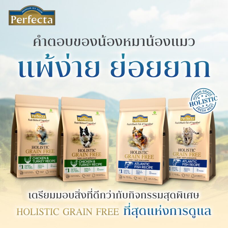 CatHoliday [ 0.8-1kg ] Perfecta Holistic Grain Free อาหารสุนัขและแมว ส่วนผสมจากธรรมชาติ โภชนาการครบถ้วน - Image 6
