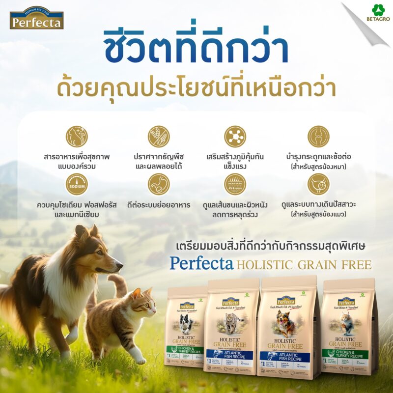 CatHoliday [ 0.8-1kg ] Perfecta Holistic Grain Free อาหารสุนัขและแมว ส่วนผสมจากธรรมชาติ โภชนาการครบถ้วน - Image 5