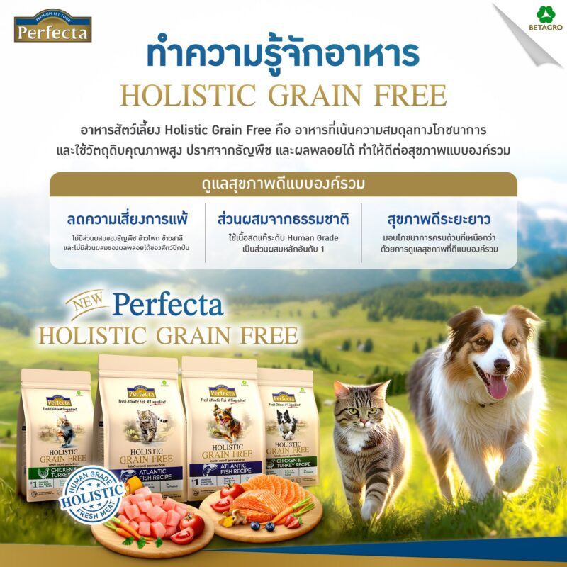 CatHoliday [ 0.8-1kg ] Perfecta Holistic Grain Free อาหารสุนัขและแมว ส่วนผสมจากธรรมชาติ โภชนาการครบถ้วน - Image 4