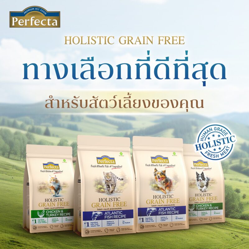 CatHoliday [ 0.8-1kg ] Perfecta Holistic Grain Free อาหารสุนัขและแมว ส่วนผสมจากธรรมชาติ โภชนาการครบถ้วน - Image 3