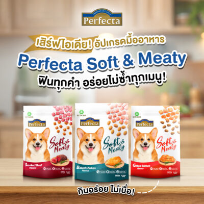 Alternative view of CatHoliday [ 500g ] Perfecta Soft&Meaty อาหารสุนัขเม็ดนิ่ม สุนัขโต คัดสรรวัตถุดิบจากเกรดพรีเมี่ยม