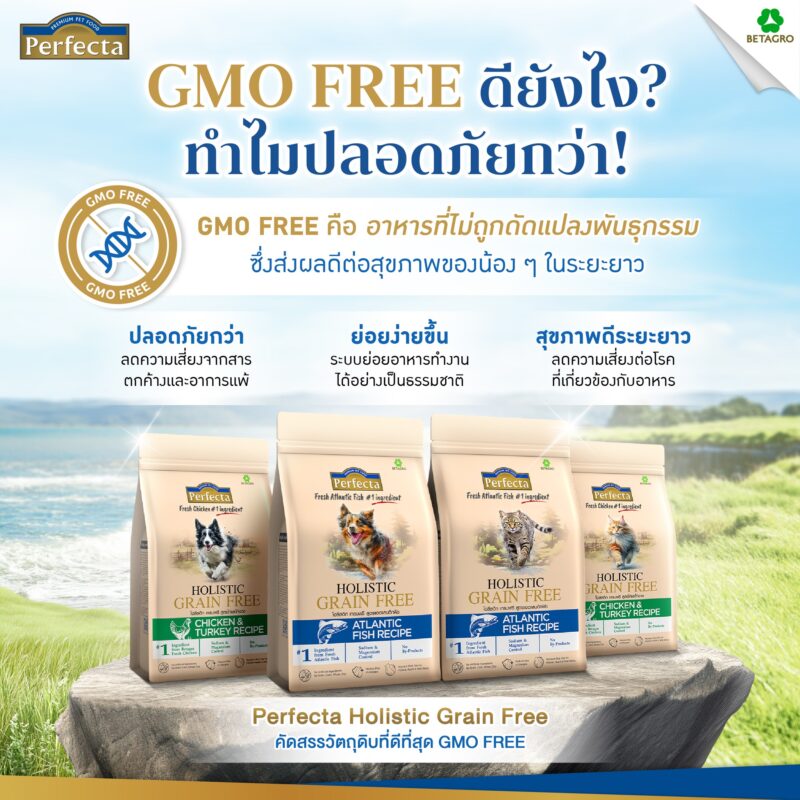 CatHoliday [ 0.8-1kg ] Perfecta Holistic Grain Free อาหารสุนัขและแมว ส่วนผสมจากธรรมชาติ โภชนาการครบถ้วน - Image 2
