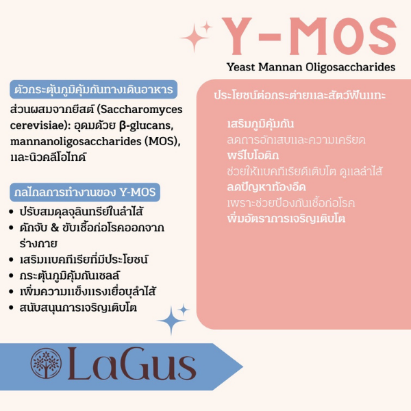 (1 KG) อาหารกระต่าย Lagus ลากัส สูตรเฉพาะสำหรับสายพันธุ์ Holland Lop & Netherland Dwarf - Image 5