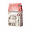 Holland Lop