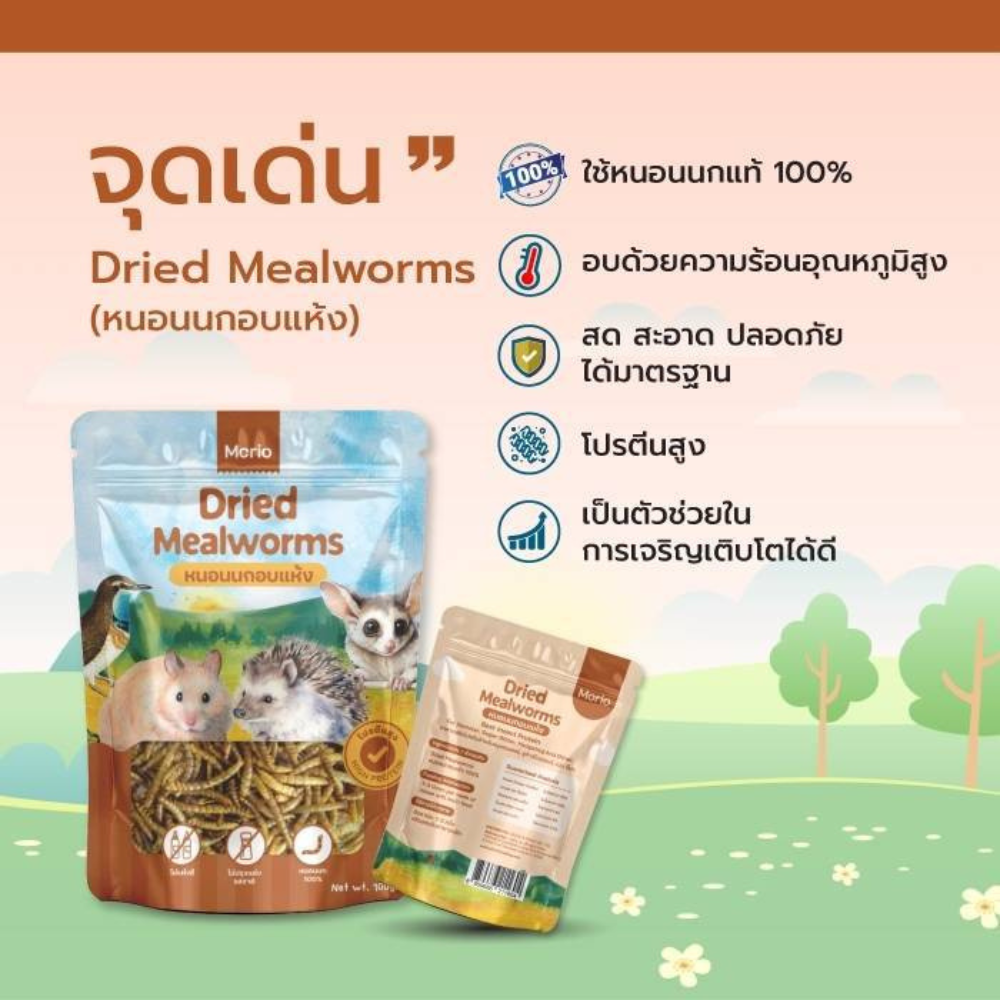 CatHoliday Morio มอริโอ้ อาหารหนูแฮมเตอร์ หนอนนกอบแห้ง โปรตีนสูง - Image 4