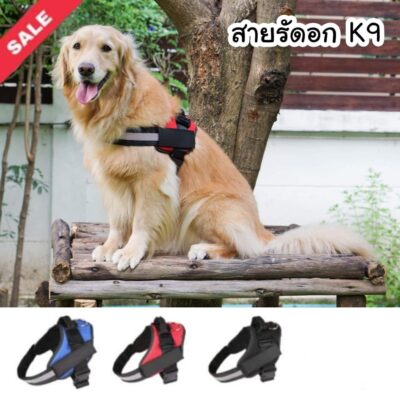 สายรัดอก K9 สายรัดอกสุนัข สายรัดอกสัตว์เลี้ยง
