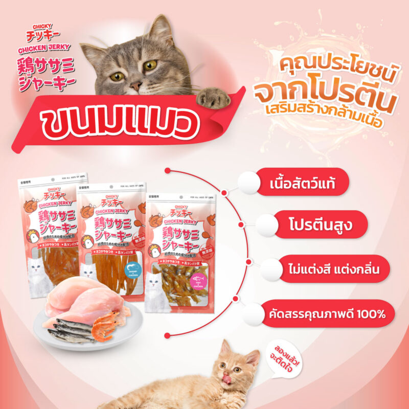CatHoliday [ 30g-45g ] ขนมแมว Chicky Chicken Jerky คัดสรรเนื้อแท้ โปรตีนสูง ไขมันต่ำ ไม่แต่งสีแต่งกลิ่น - Image 8