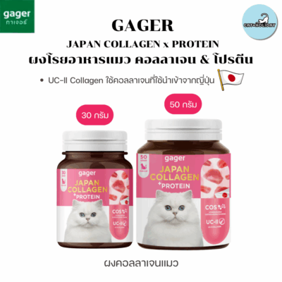 CatHoliday กาเจอร์ ผงคอลลาเจนแมว Gager คอลลาเจนและโปรตีน อาหารเสริมแมวอ้วน คอลลาเจนแมวอ้วน ผงโปรตีนเสริมสร้างกล้ามเนื้อ