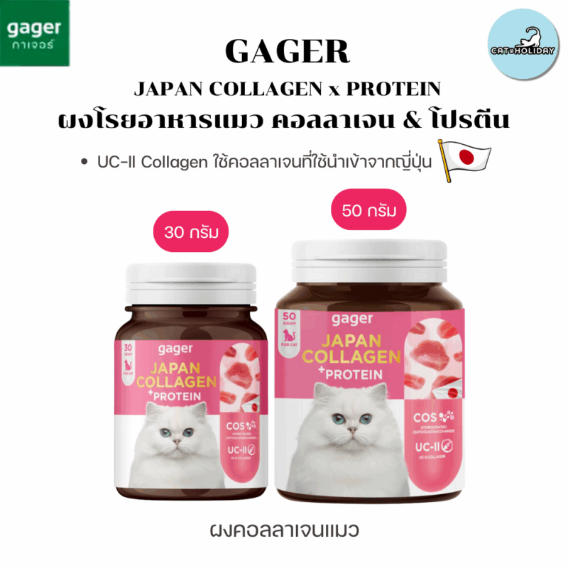 CatHoliday กาเจอร์ ผงคอลลาเจนแมว Gager คอลลาเจนและโปรตีน อาหารเสริมแมวอ้วน คอลลาเจนแมวอ้วน ผงโปรตีนเสริมสร้างกล้ามเนื้อ