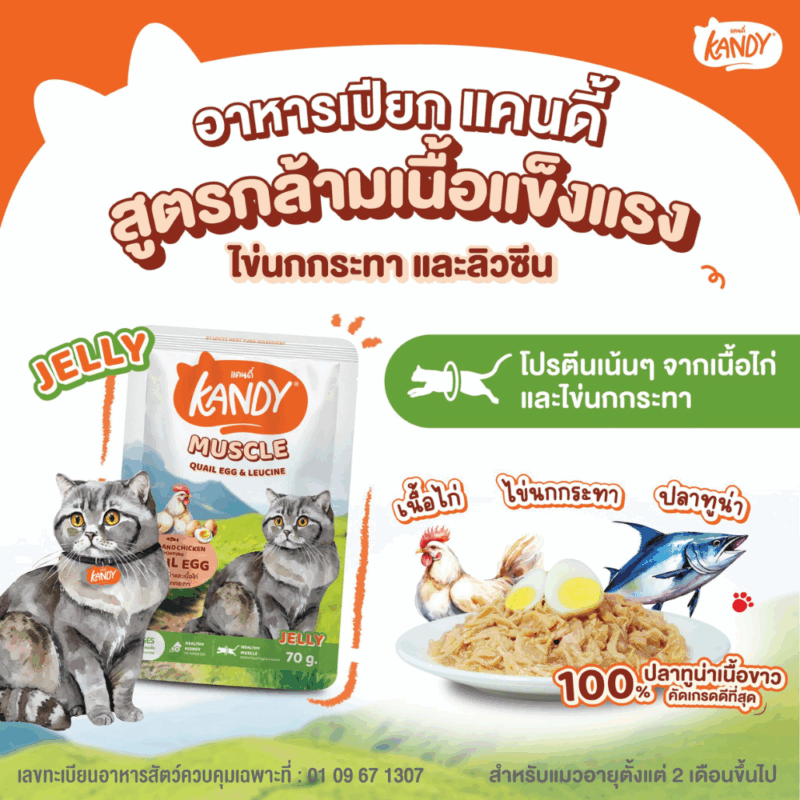 (ยกโหล 12 ซอง) KANDY อาหารเปียกแมว แคนดี้ ผลิตจากปลาทูน่าเนื้อขาว เนื้อเยอะ ทานง่าย สารอาหารครบถ้วน - Image 7
