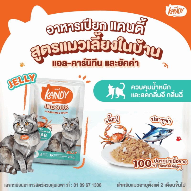 (ยกโหล 12 ซอง) KANDY อาหารเปียกแมว แคนดี้ ผลิตจากปลาทูน่าเนื้อขาว เนื้อเยอะ ทานง่าย สารอาหารครบถ้วน - Image 6