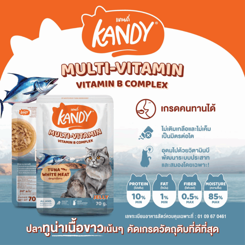 (ยกโหล 12 ซอง) KANDY อาหารเปียกแมว แคนดี้ ผลิตจากปลาทูน่าเนื้อขาว เนื้อเยอะ ทานง่าย สารอาหารครบถ้วน - Image 5