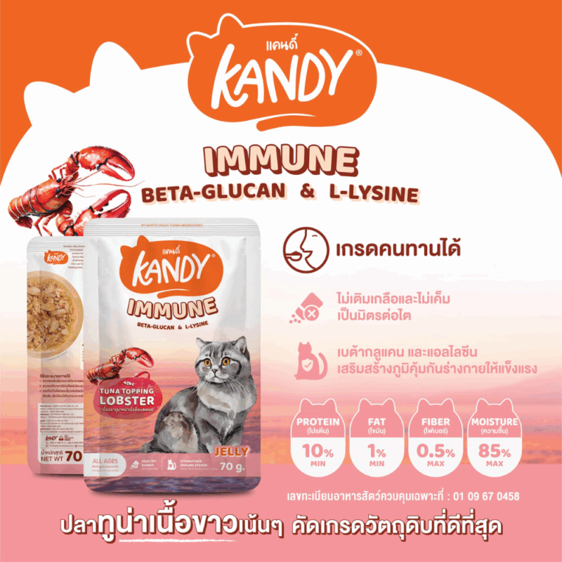 (ยกโหล 12 ซอง) KANDY อาหารเปียกแมว แคนดี้ ผลิตจากปลาทูน่าเนื้อขาว เนื้อเยอะ ทานง่าย สารอาหารครบถ้วน - Image 4