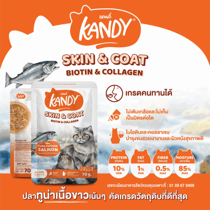 (ยกโหล 12 ซอง) KANDY อาหารเปียกแมว แคนดี้ ผลิตจากปลาทูน่าเนื้อขาว เนื้อเยอะ ทานง่าย สารอาหารครบถ้วน - Image 3