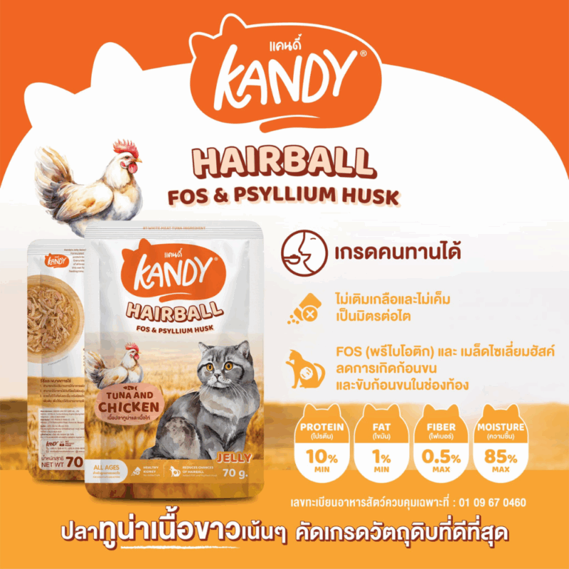 (ยกโหล 12 ซอง) KANDY อาหารเปียกแมว แคนดี้ ผลิตจากปลาทูน่าเนื้อขาว เนื้อเยอะ ทานง่าย สารอาหารครบถ้วน - Image 2