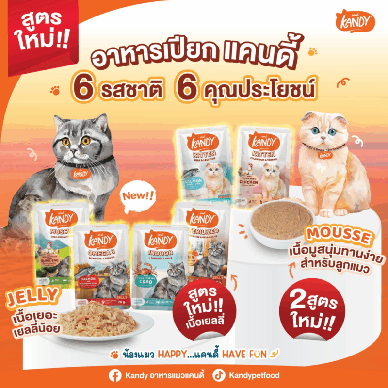 (ยกโหล 12 ซอง) KANDY อาหารเปียกแมว แคนดี้ ผลิตจากปลาทูน่าเนื้อขาว เนื้อเยอะ ทานง่าย สารอาหารครบถ้วน - Image 13