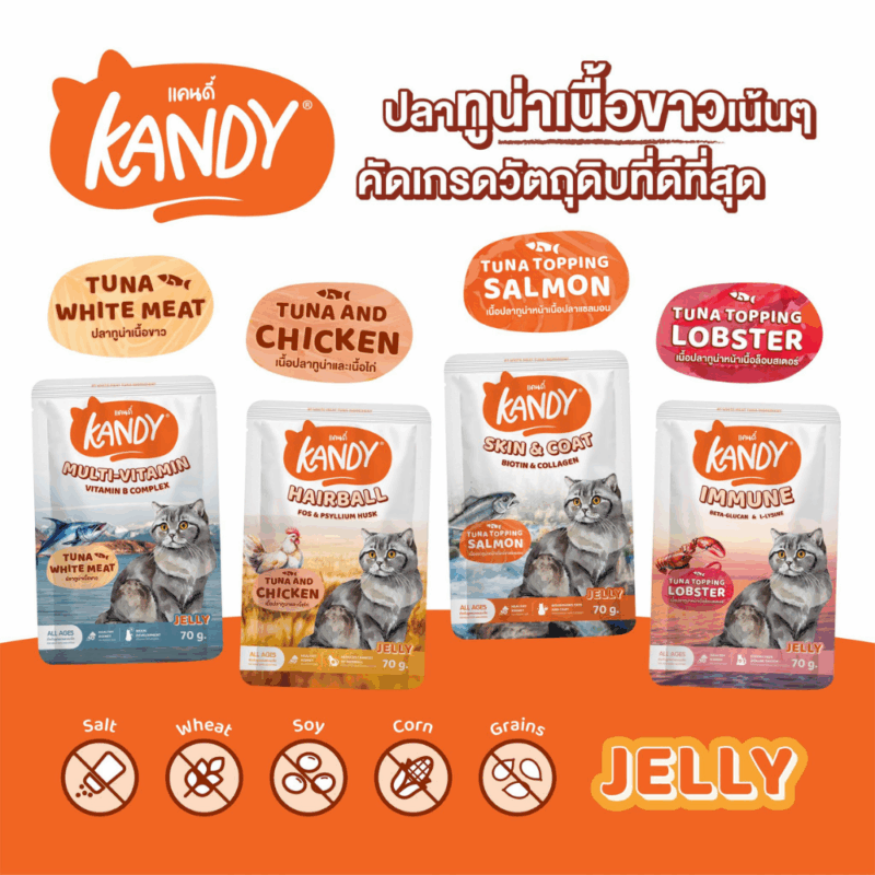 (ยกโหล 12 ซอง) KANDY อาหารเปียกแมว แคนดี้ ผลิตจากปลาทูน่าเนื้อขาว เนื้อเยอะ ทานง่าย สารอาหารครบถ้วน - Image 12