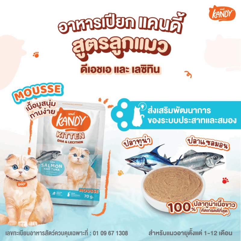 (ยกโหล 12 ซอง) KANDY อาหารเปียกแมว แคนดี้ ผลิตจากปลาทูน่าเนื้อขาว เนื้อเยอะ ทานง่าย สารอาหารครบถ้วน - Image 11