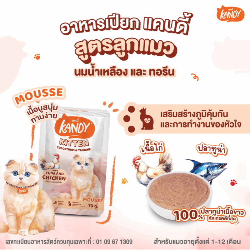 (ยกโหล 12 ซอง) KANDY อาหารเปียกแมว แคนดี้ ผลิตจากปลาทูน่าเนื้อขาว เนื้อเยอะ ทานง่าย สารอาหารครบถ้วน - Image 10