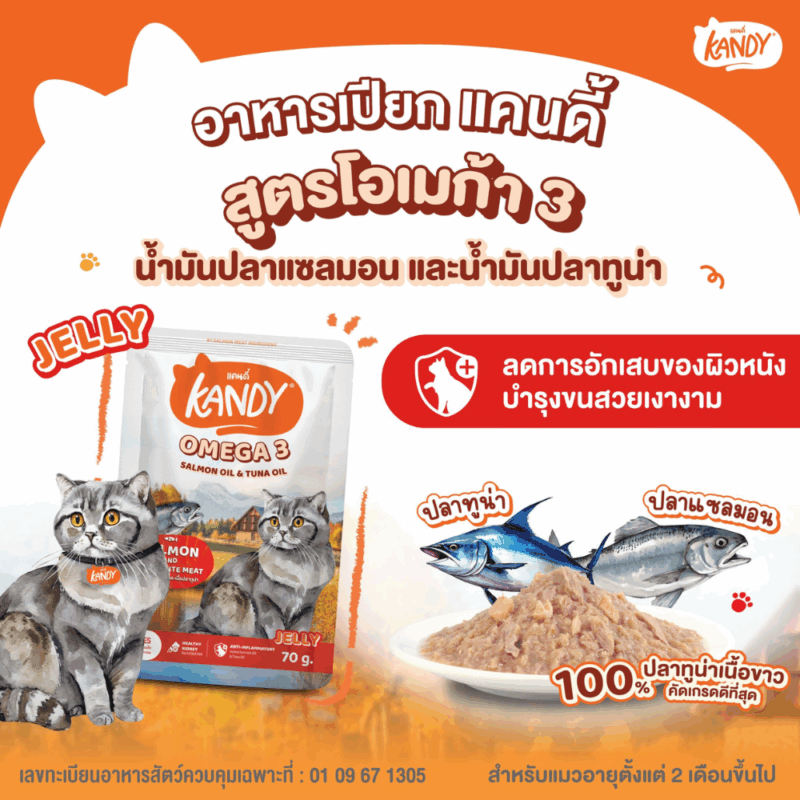(ยกโหล 12 ซอง) KANDY อาหารเปียกแมว แคนดี้ ผลิตจากปลาทูน่าเนื้อขาว เนื้อเยอะ ทานง่าย สารอาหารครบถ้วน - Image 9
