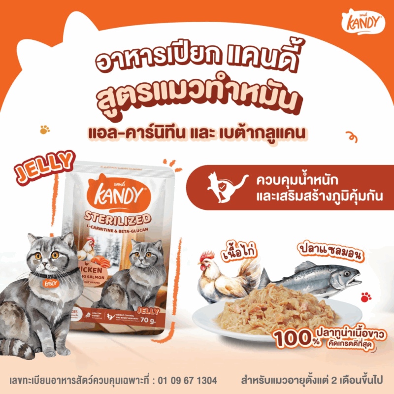 (ยกโหล 12 ซอง) KANDY อาหารเปียกแมว แคนดี้ ผลิตจากปลาทูน่าเนื้อขาว เนื้อเยอะ ทานง่าย สารอาหารครบถ้วน - Image 8