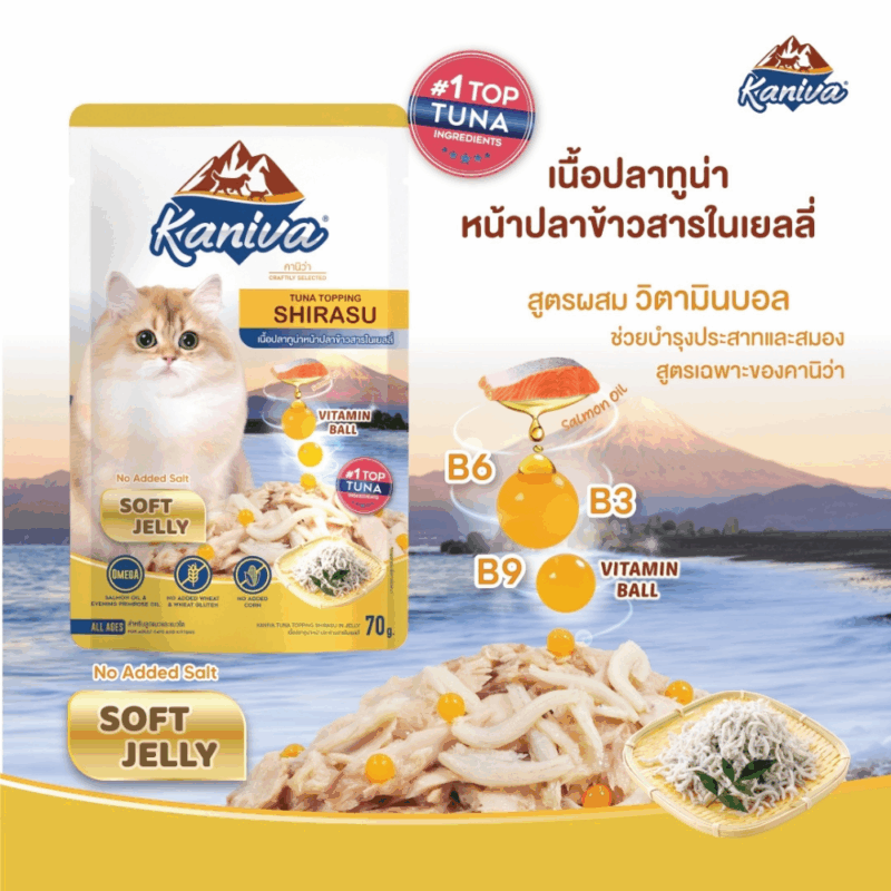 CatHoliday [ยกลัง 48 ซอง] Kaniva อาหารแมวเปียก คานิว่า สำหรับแมวทุกช่วงวัย พร้อมคุณประโยชน์ ขนาด 70 g/ซอง - Image 8