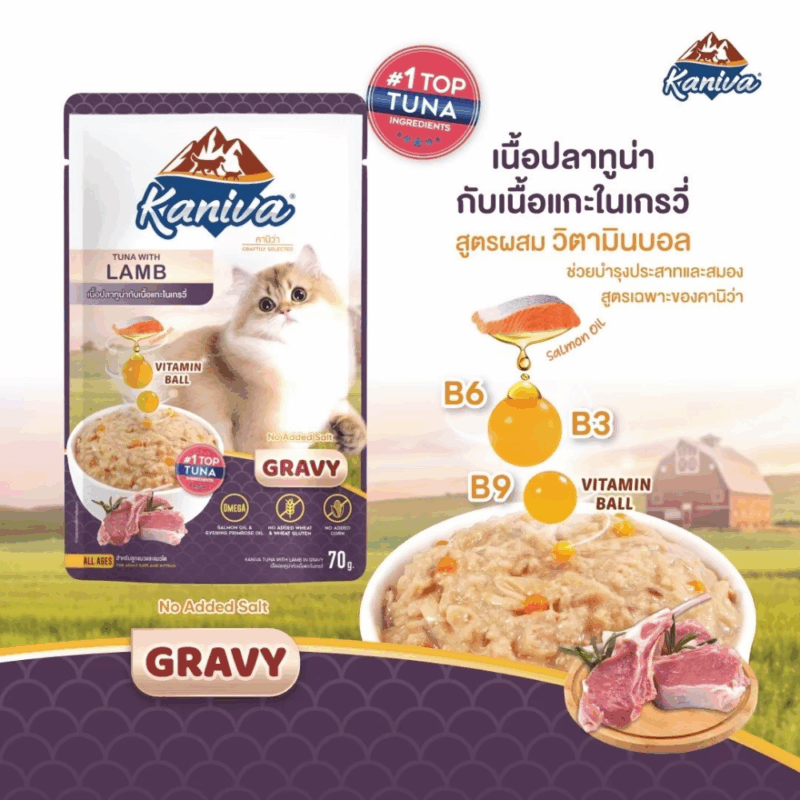 CatHoliday [ยกลัง 48 ซอง] Kaniva อาหารแมวเปียก คานิว่า สำหรับแมวทุกช่วงวัย พร้อมคุณประโยชน์ ขนาด 70 g/ซอง - Image 6