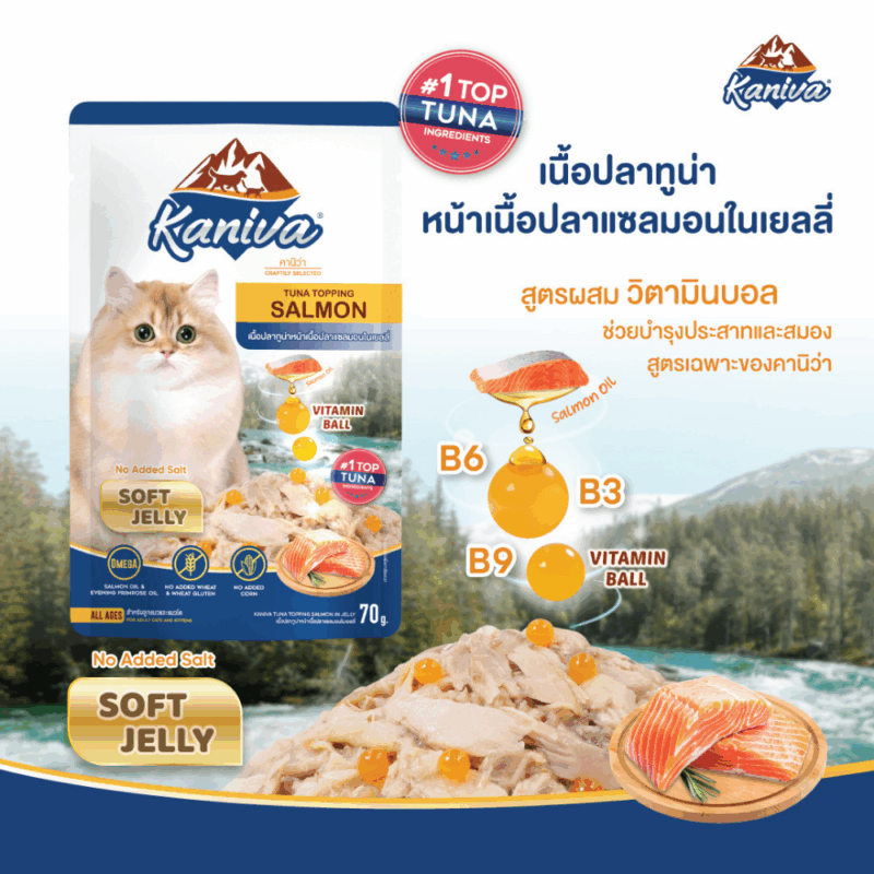CatHoliday [ยกลัง 48 ซอง] Kaniva อาหารแมวเปียก คานิว่า สำหรับแมวทุกช่วงวัย พร้อมคุณประโยชน์ ขนาด 70 g/ซอง - Image 2