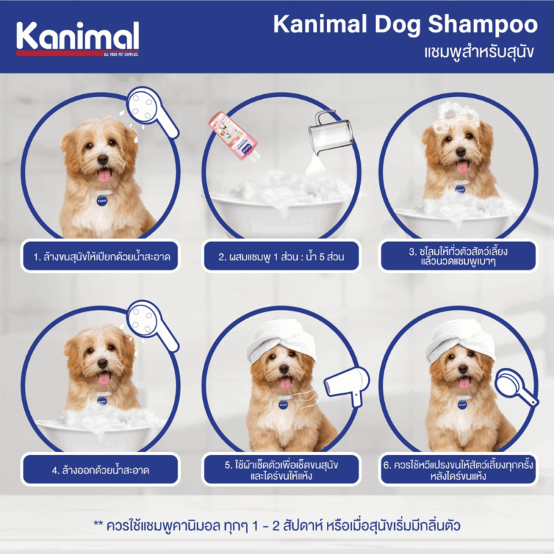 (300ml /1,000 ml) Kanimal Dog Shampoo คานิมอล แชมพูสุนัข บำรุงขน ลดขนร่วง สำหรับสุนัขทุกสายพันธุ์ มีให้เลือกหลายสูตร - Image 10