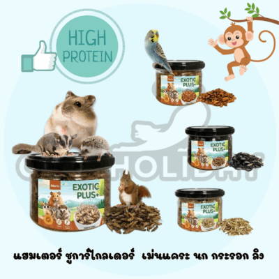 Alternative view of Morio แมลงอบแห้ง 35-45 กรัม (ดักแด้ จิ้งหรีด สะดิ้ง ปลา) โปรตีนสูง สำหรับแฮมเตอร์ ชูการ์ไกลเดอร์ เม่นแคระ นก กระรอก