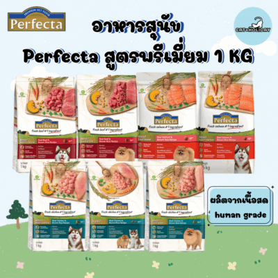 CatHoliday [ 0.8-1 kg ] Perfecta เพอร์เฟคต้าพรีเมี่ยม อาหารสุนัข ใช้เนื้อแท้ คุณภาพสูง Human Grade