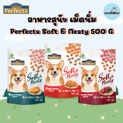 CatHoliday [ 500g ] Perfecta Soft&Meaty อาหารสุนัขเม็ดนิ่ม สุนัขโต คัดสรรวัตถุดิบจากเกรดพรีเมี่ยม