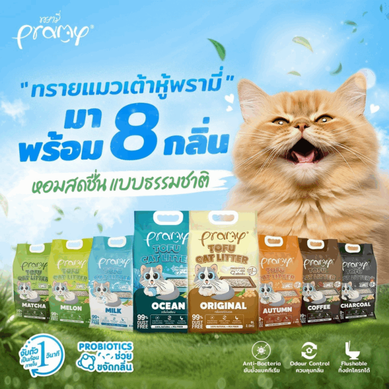 ( 20 ลิตร) Pramy ทรายแมวเต้าหู้ธรรมชาติ ฝุ่นน้อย จับตัวเป็นก้อนเร็ว ไม่ติดเท้าแมว ทิ้งชักโครกได้ ละลายไว ประหยัดทราย - Image 2