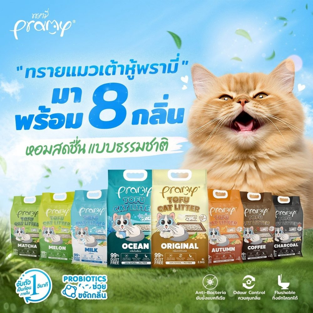 ( 20 ลิตร) Pramy ทรายแมวเต้าหู้ธรรมชาติ ฝุ่นน้อย จับตัวเป็นก้อนเร็ว ไม่ติดเท้าแมว ทิ้งชักโครกได้ ละลายไว ประหยัดทราย - Image 2