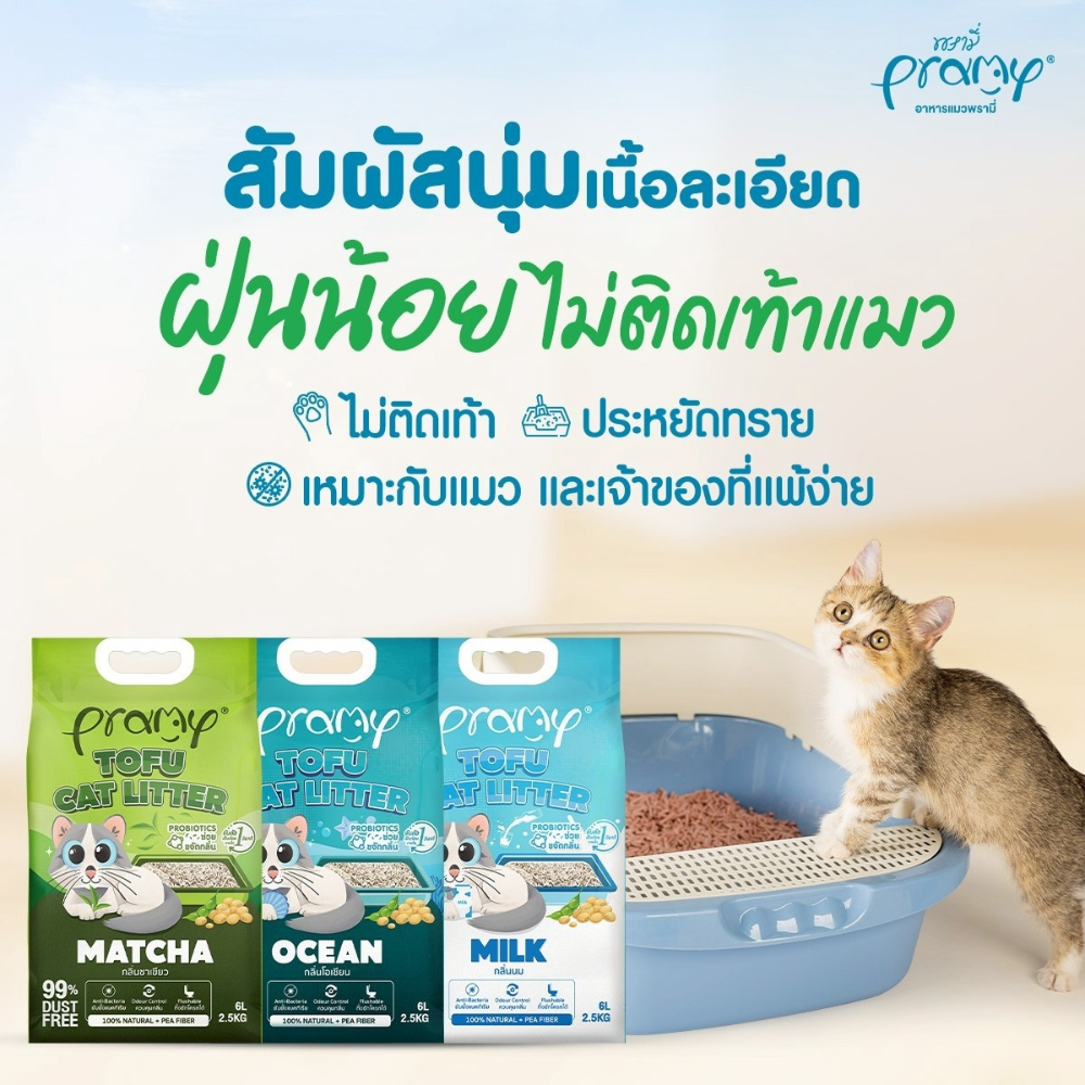 ( 20 ลิตร) Pramy ทรายแมวเต้าหู้ธรรมชาติ ฝุ่นน้อย จับตัวเป็นก้อนเร็ว ไม่ติดเท้าแมว ทิ้งชักโครกได้ ละลายไว ประหยัดทราย - Image 13