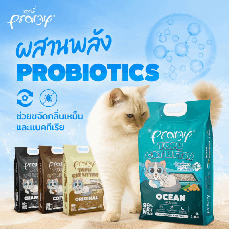 ( 20 ลิตร) Pramy ทรายแมวเต้าหู้ธรรมชาติ ฝุ่นน้อย จับตัวเป็นก้อนเร็ว ไม่ติดเท้าแมว ทิ้งชักโครกได้ ละลายไว ประหยัดทราย - Image 12