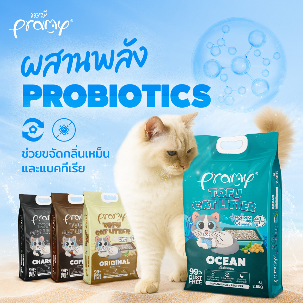 ( 20 ลิตร) Pramy ทรายแมวเต้าหู้ธรรมชาติ ฝุ่นน้อย จับตัวเป็นก้อนเร็ว ไม่ติดเท้าแมว ทิ้งชักโครกได้ ละลายไว ประหยัดทราย - Image 12