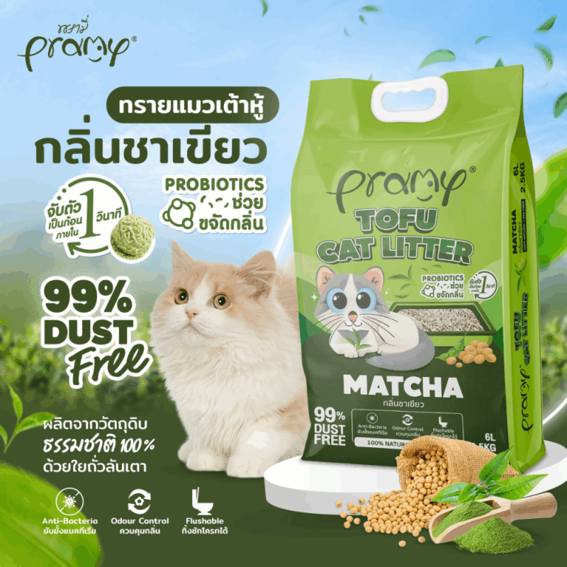 ( 20 ลิตร) Pramy ทรายแมวเต้าหู้ธรรมชาติ ฝุ่นน้อย จับตัวเป็นก้อนเร็ว ไม่ติดเท้าแมว ทิ้งชักโครกได้ ละลายไว ประหยัดทราย - Image 8