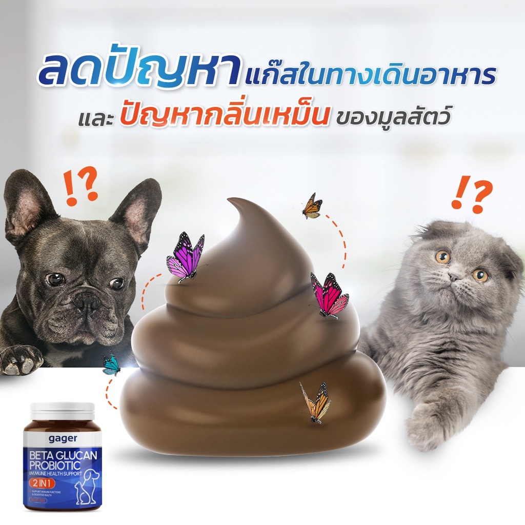 CatHoliday กาเจอร์ วิตามิน Gager ผงวิตามิน ผงโรยข้าวเบต้ากลูแคนผสมโปรไบโอติก วิตามินสำหรับสัตว์เลี้ยง - Image 8