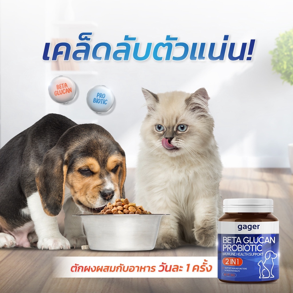 CatHoliday กาเจอร์ วิตามิน Gager ผงวิตามิน ผงโรยข้าวเบต้ากลูแคนผสมโปรไบโอติก วิตามินสำหรับสัตว์เลี้ยง - Image 7