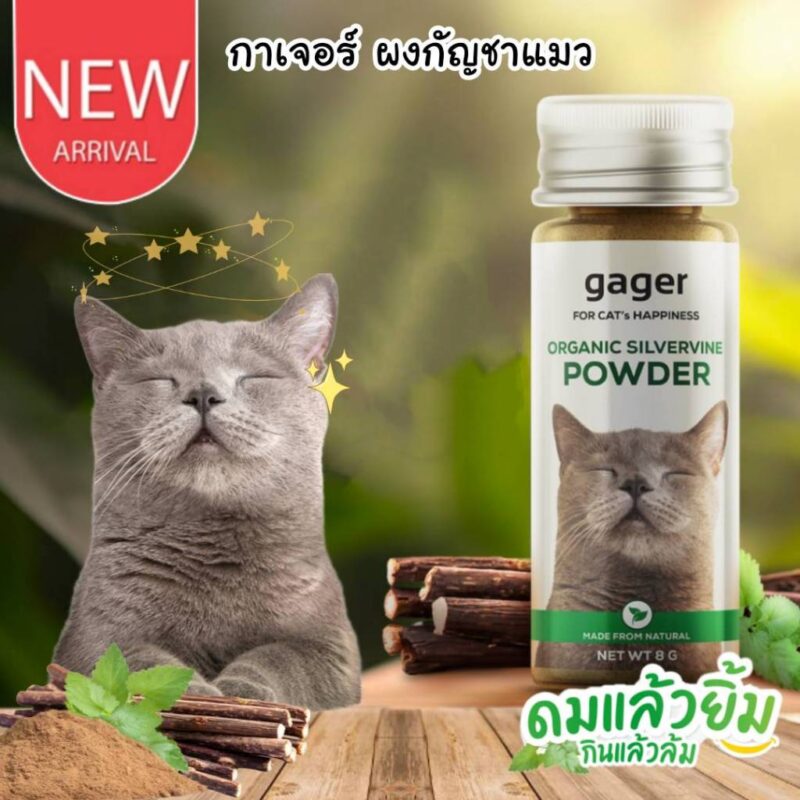 CatHoliday กาเจอร์ แคทนิปแบบผง Gager  แคทนิปแบบผงสำหรับแมว ไม้มาทาทาบิ ออร์แกนิก พลังช้าง ช่วยให้แมวผ่อนคลาย