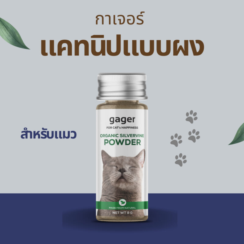 CatHoliday กาเจอร์ แคทนิปแบบผง Gager  แคทนิปแบบผงสำหรับแมว ไม้มาทาทาบิ ออร์แกนิก พลังช้าง ช่วยให้แมวผ่อนคลาย - Image 3